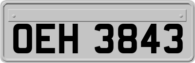 OEH3843