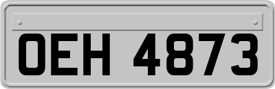 OEH4873