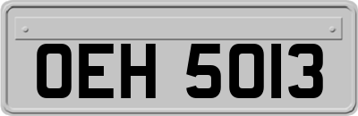 OEH5013
