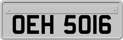 OEH5016