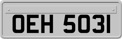 OEH5031