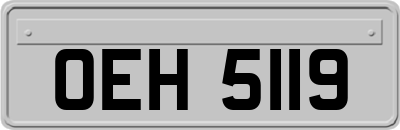 OEH5119
