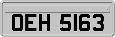 OEH5163