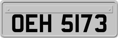 OEH5173
