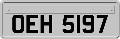 OEH5197