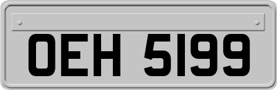 OEH5199