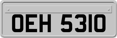 OEH5310