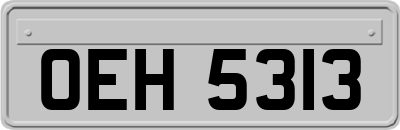 OEH5313
