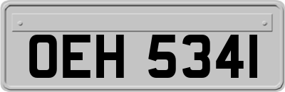 OEH5341