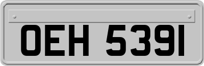 OEH5391