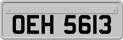 OEH5613