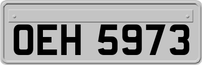 OEH5973