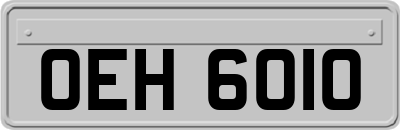 OEH6010