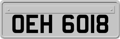 OEH6018