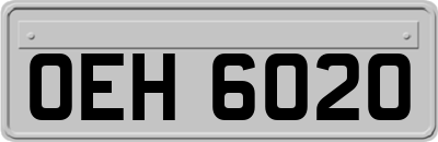 OEH6020