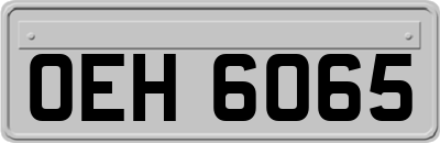 OEH6065