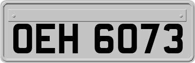 OEH6073