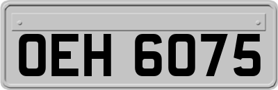 OEH6075