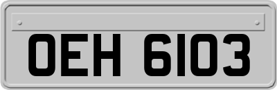 OEH6103