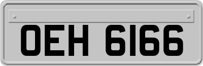 OEH6166