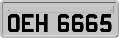 OEH6665