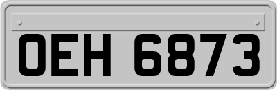 OEH6873