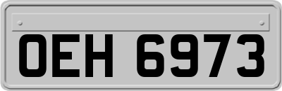 OEH6973