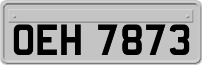 OEH7873