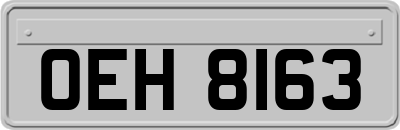 OEH8163