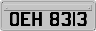 OEH8313