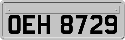 OEH8729