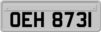 OEH8731