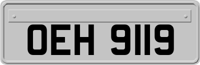 OEH9119