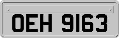 OEH9163
