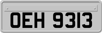 OEH9313
