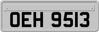 OEH9513