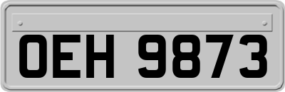 OEH9873