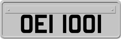 OEI1001