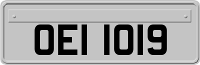 OEI1019