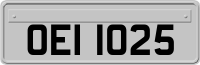 OEI1025