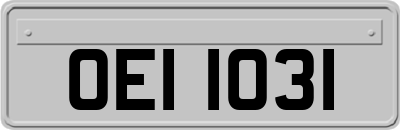 OEI1031