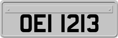 OEI1213