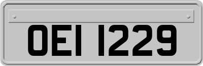 OEI1229