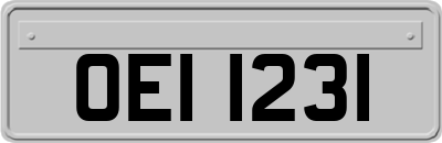 OEI1231