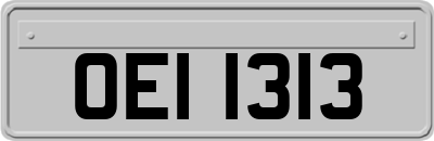 OEI1313