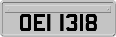 OEI1318