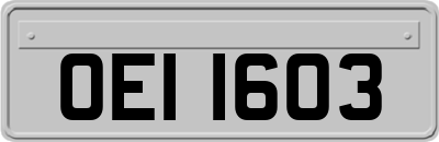 OEI1603