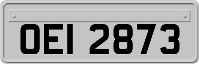 OEI2873