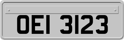 OEI3123