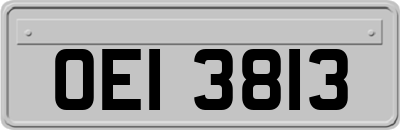 OEI3813